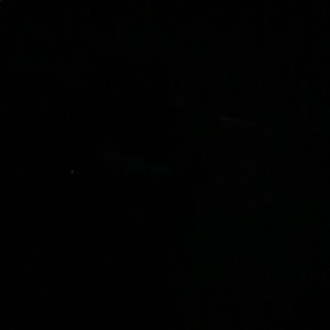 Meet your Posher, Ana